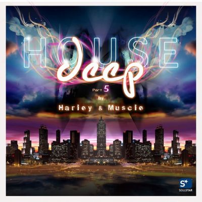 00-VA-Deep House Pt. 5 (By Harley & Muscle) CLS 0002982D-2013--Feelmusic.cc