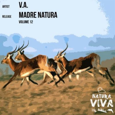 00-VA-Madre Natura Vol 12 NAT132-2013--Feelmusic.cc