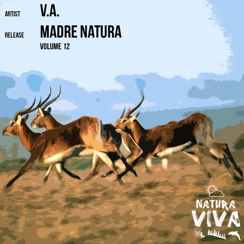 VA - Madre Natura Vol 12