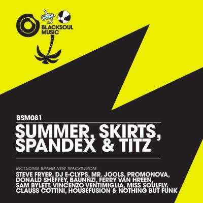 00-VA-Summer Skirts Spandex & Titz BSM081-2013--Feelmusic.cc