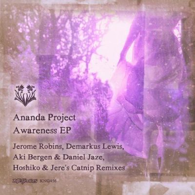 00-Ananda Project-Awareness EP KNG456-2013--Feelmusic.cc