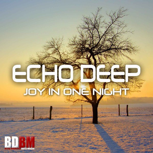 Echo Deep - Joy In One Night
