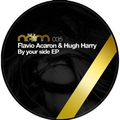 00-Flavio Acaron & Hugh Harry-By Your Side EP NEIM035-2013--Feelmusic.cc