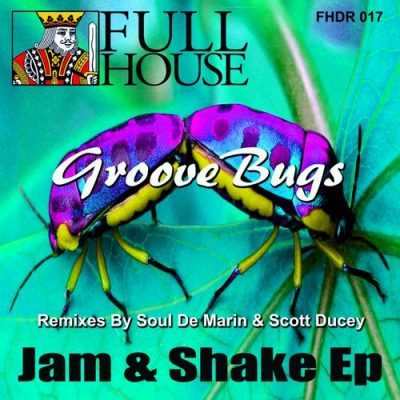 00-Groove Bugs-Jam & Shake Ep FHDR017-2013--Feelmusic.cc