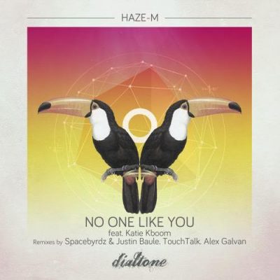 00-Haze-M-No One Like You DT083-2013--Feelmusic.cc