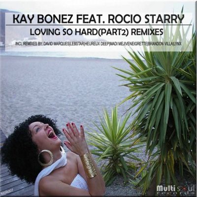 00-Kay Bonez & Rocio Starry-Loving So Hard Remixes MSR007-2013--Feelmusic.cc