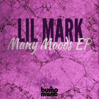 00-Lil' Mark-Many Moods EP Vol 1 BMD22 -2013--Feelmusic.cc