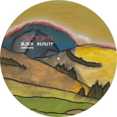 00-Metope-Black Beauty Remixes EP AREAL071-2013--Feelmusic.cc