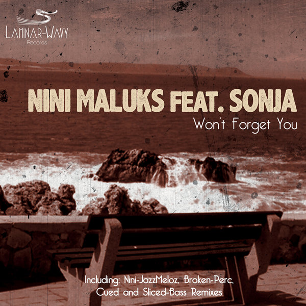 Nini Maluks feat. Sonja - Won't Forget You