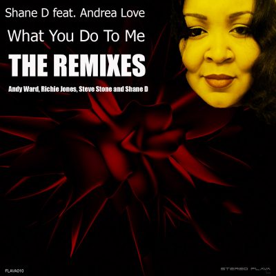 00-Shane D feat. Andrea Love-What You Do To Me (Remixes) FLAVA010-2013--Feelmusic.cc