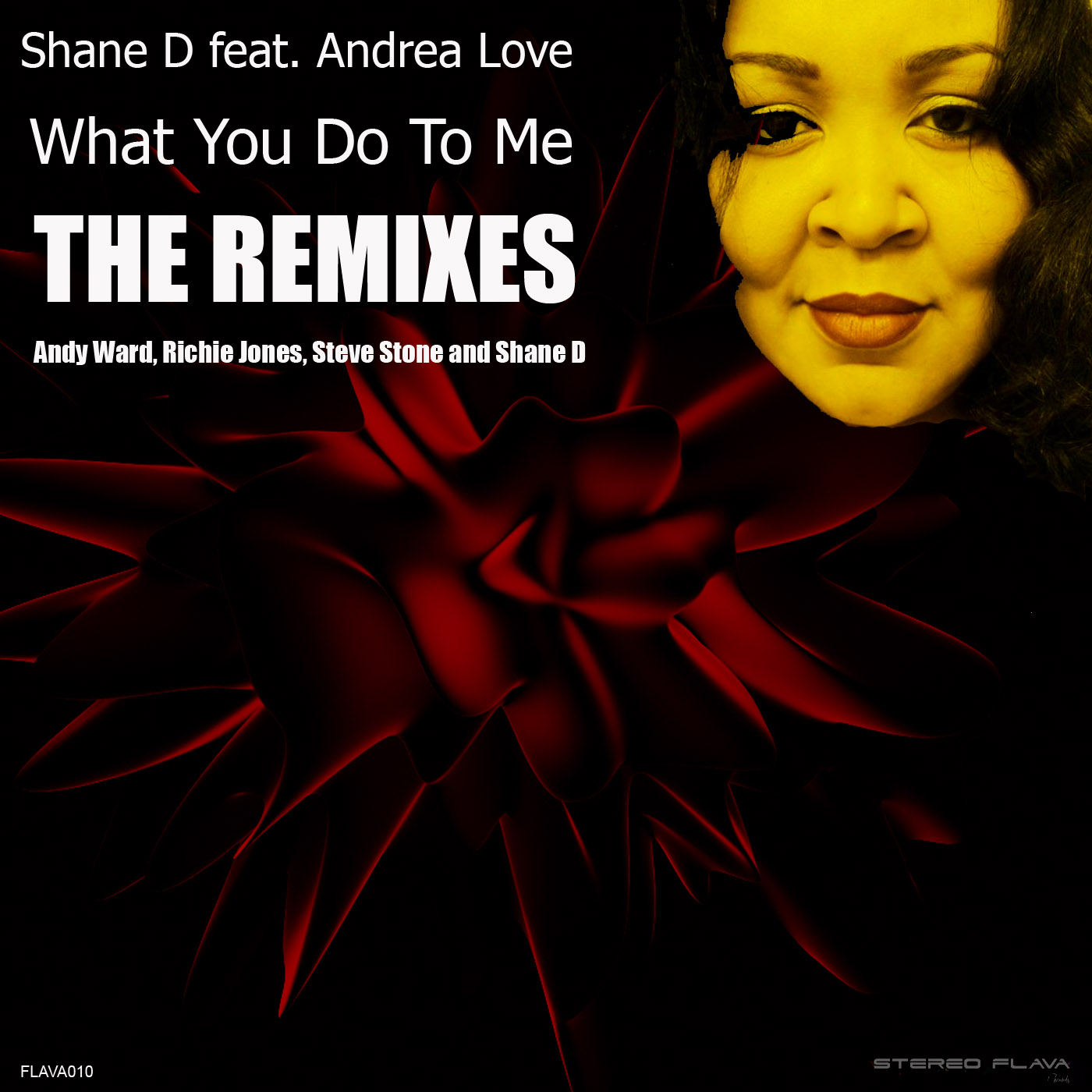 Shane D feat. Andrea Love - What You Do To Me (Remixes)