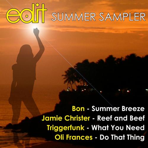 VA - Edit Records Summer Sampler