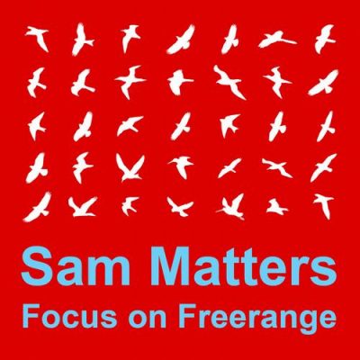 00-VA-Focus On  Freerange  Sam Matters FOF07D-2013--Feelmusic.cc