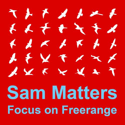 VA - Focus On Freerange Sam Matters