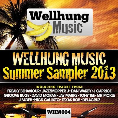 00-VA-Wellhung Music Summer Sampler  WHM004-2013--Feelmusic.cc