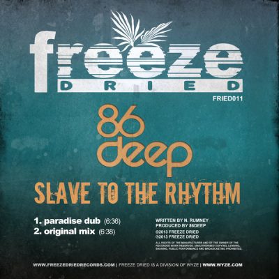 00-86deep-Slave To The Rhythm FRIED011-2013--Feelmusic.cc