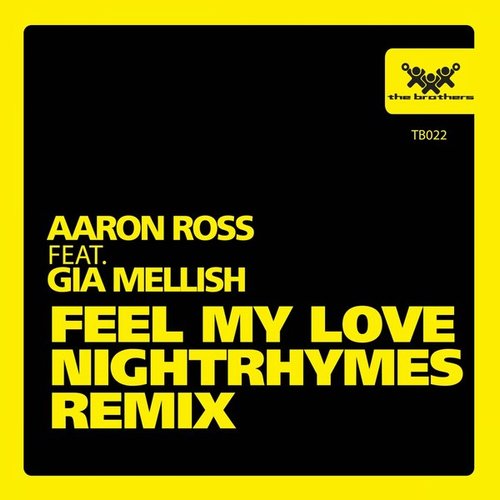 Aaron Ross - Feel My Love