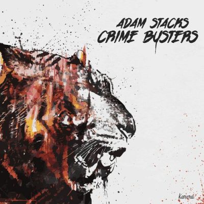 00-Adam Stacks-Crime Busters KARERAD007-2013--Feelmusic.cc