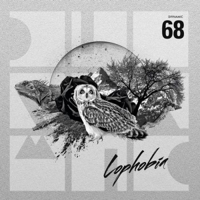 00-Adriatique-Lophobia EP DIYNAMIC068-2013--Feelmusic.cc
