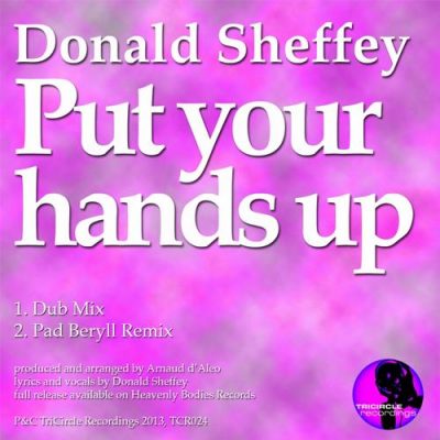 00-Donald Sheffey-Put Your Hands Up TCR024-2013--Feelmusic.cc