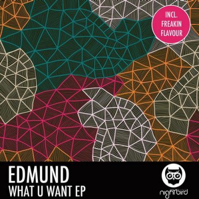 00-Edmund-What U Want EP NB050-2013--Feelmusic.cc