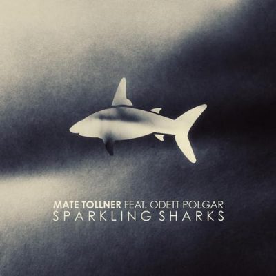 00-Mate Tollner-Sparkling Sharks CME045-2013--Feelmusic.cc