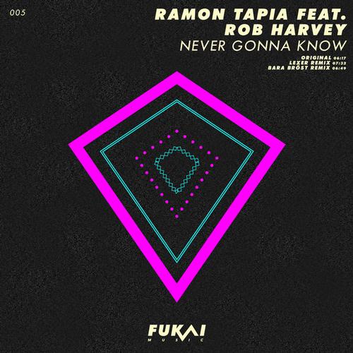 Ramon Tapia feat Rob Harvey - Never Gonna Know