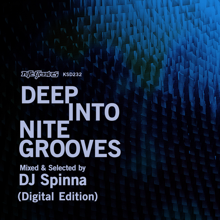 VA - Deep Into Nite Grooves Mixed & Selected By DJ Spinna