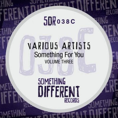 00-VA-Something For You Vol. 3 SDR038C-2013--Feelmusic.cc