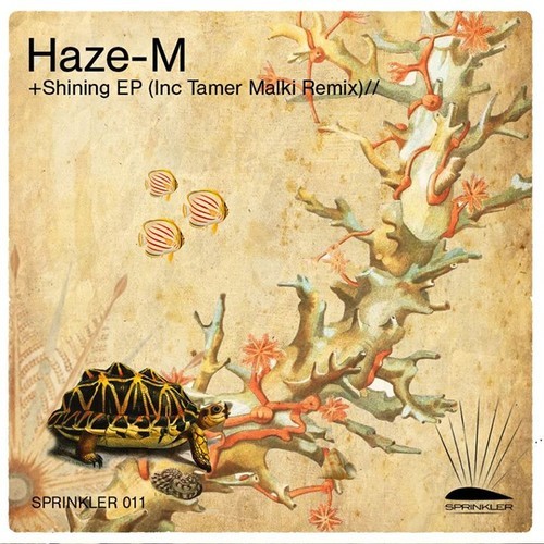 Haze M - Shining EP
