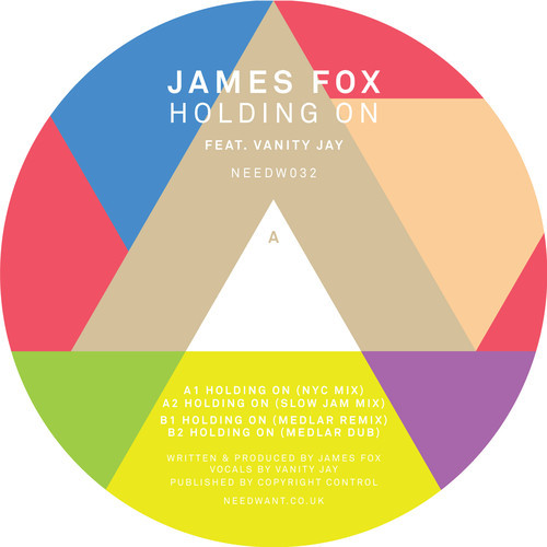 James Fox, Vanity Jay - Holding On