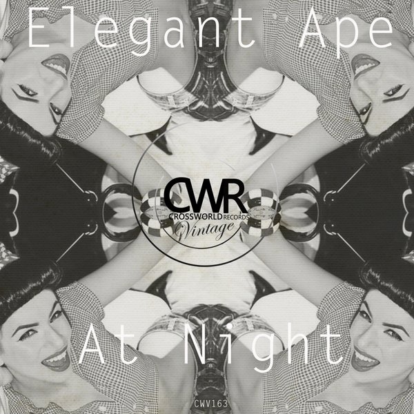 Elegant Ape - At Night
