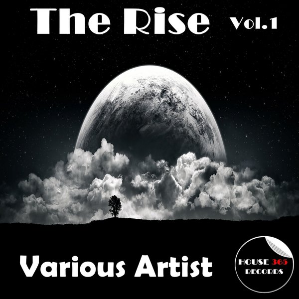 VA - The Rise Vol.1