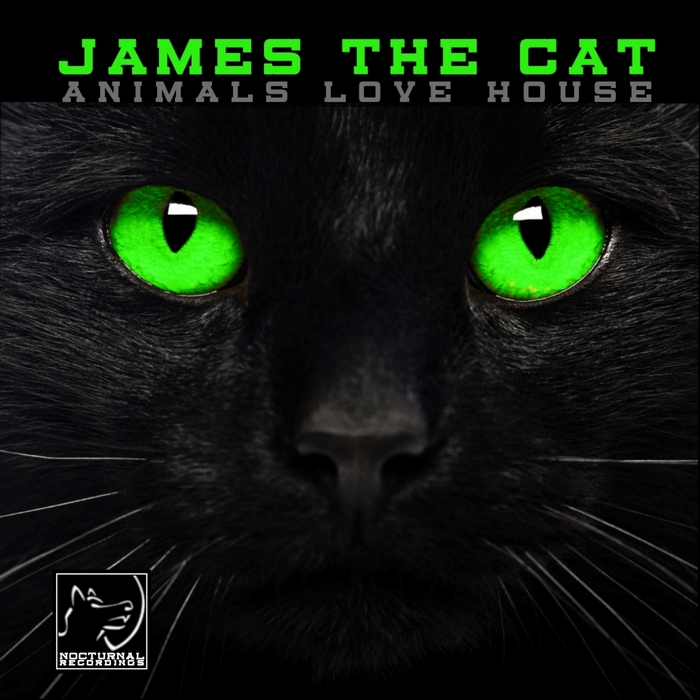 James The Cat - Animals Love House