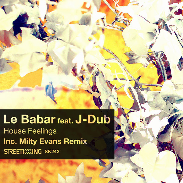 Le Babar, J-Dub - House Feelings [incl. Milty Evans Remix]