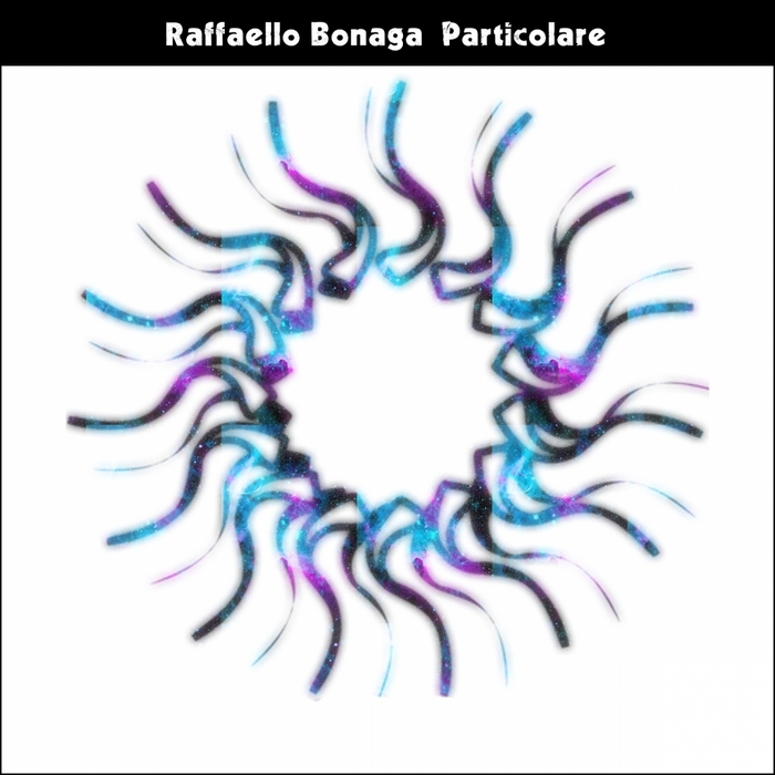 Raffaello Bonaga - Particolare