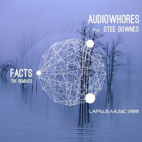 00-Audiowhores Stee Downes-Facts The Remixes-2014-