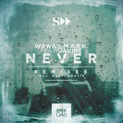 00-Wawa M.A.R.K Javine-Never feat. Javine (Remixes)-2014-