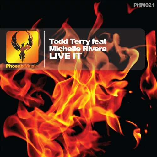 Todd Terry, Michelle Rivera - Live It