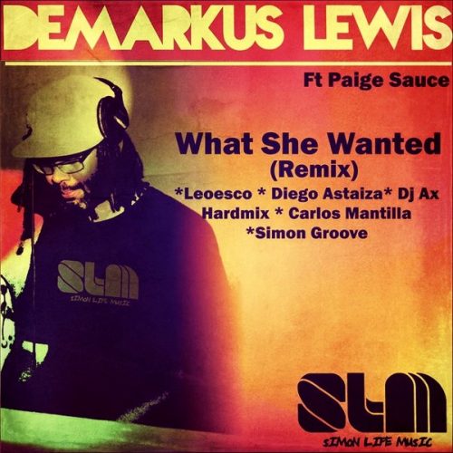 00-Demarkus Lewis Ft. Paige Sauce-What She Wanted (Remix)-2014-