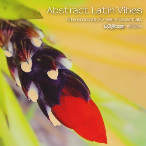 00-VA-Abstract Latin Vibes (Nite Grooves 20 Years Essentials)-2014-