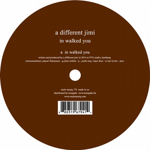 A Different Jimi - In Walked You