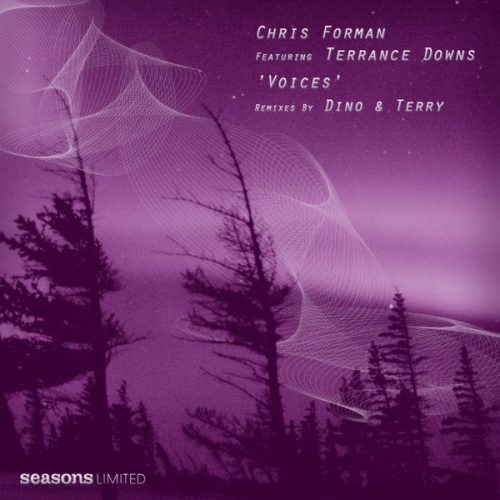00-Chris Forman Terrance Downs-Voices 'dino & Terry Mixes'-2014-