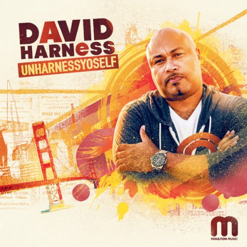00-David Harness-Unharnessyoself-2014-