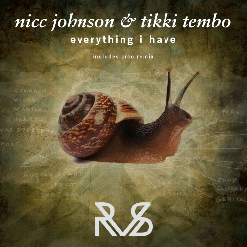 Nicc Johnson & Tikki Tembo - Everything I Have