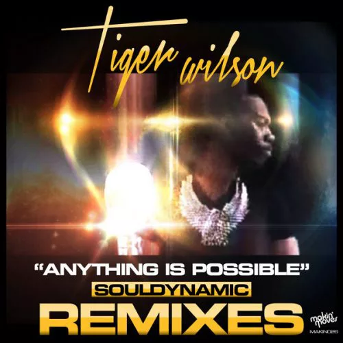 00-Tiger Wilson-Anything Is Possible (Souldynamic Remixes)-2014-