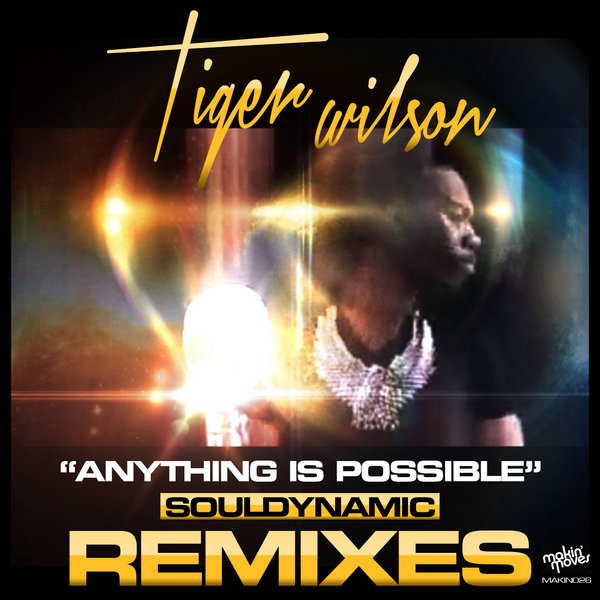 Tiger Wilson - Anything Is Possible (Souldynamic Remixes)