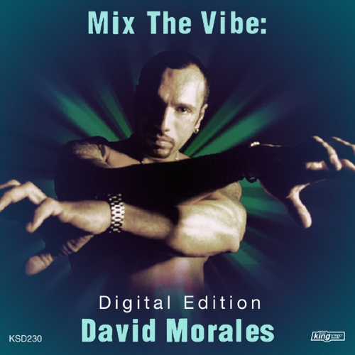 VA - Mix The Vibe David Morales