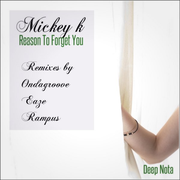 Mickey K - Reason To Forget You