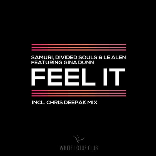 00-Samuri Divided Souls Le Alen Gina Dunn-Feel It Mixes-2014-